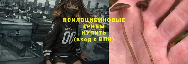 прущие крисы Алексин