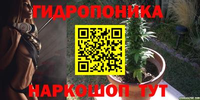 ешки Ростов-на-Дону