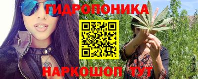 PSILOCYBIN Чебоксары