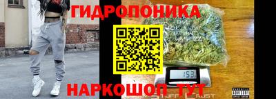 PSILOCYBIN Чебоксары