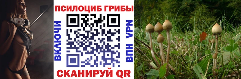 Псилоцибиновые грибы Psilocybine cubensis  наркошоп  Похвистнево 