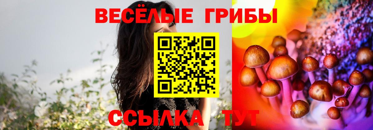 Псилоцибиновые грибы мицелий  Галлюциногенные грибы Cubensis  Вход с VPN  Похвистнево 